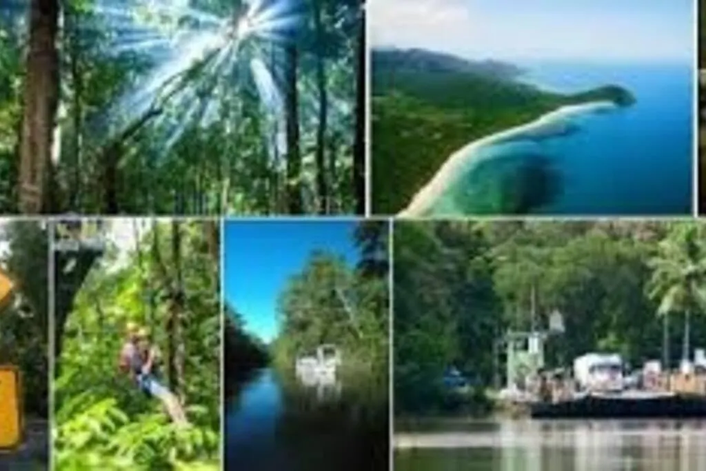 Studio Room In Cairns Esplanade! Ocean View! Heart Of Cairns Australia